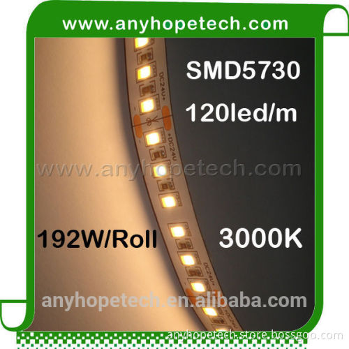 Cheap promotional warm white 600LEDs 3000K flexible led light